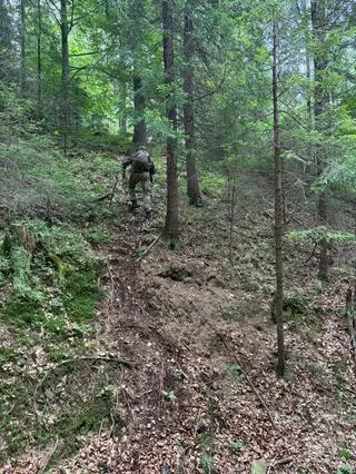 Mężczyzna miał ukrywać narkotyki w lesie