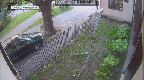 Policja zatrzymała podejrzewanego  (wideo bez dźwięku)