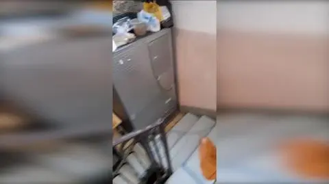 Sytuacja powodziowa we włoskim Lugo