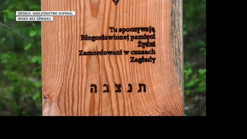 slideshow tomasz