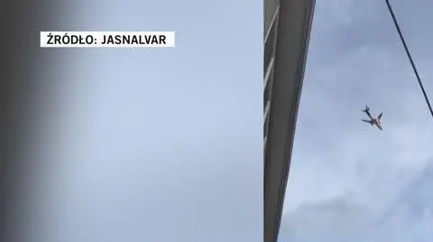 Fedex cargo plane catches on fire after bird strike