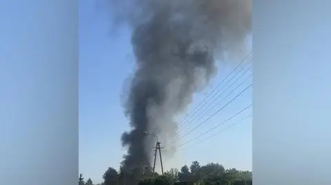 Pożar wybuchł przed godziną 15