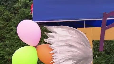 1908N300XR PIS DNZ ZALEWSKI