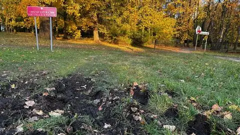 Tak wygląda wejście na Cytadelę od ulicy Winogrady 