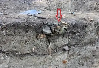 Trafili na grób dziecka z głową oddzieloną od tułowia. "Cechy pochówku antywampirycznego"