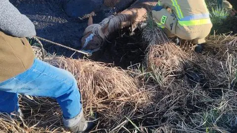 Na pomoc ruszyli strażacy 