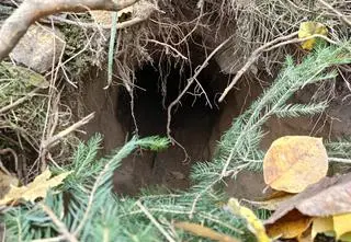 Tunel na granicy. Odkrycie Straży Granicznej