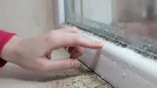 Chorujemy przewlekle, bo zatruwa nas pleśń? Immunolog wyjaśnia