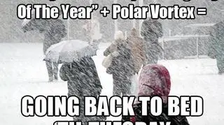Poniedziałek + najbardziej dołujący dzień w roku + wir polarny = wracaj do łóżka i zostań tam do wtorku