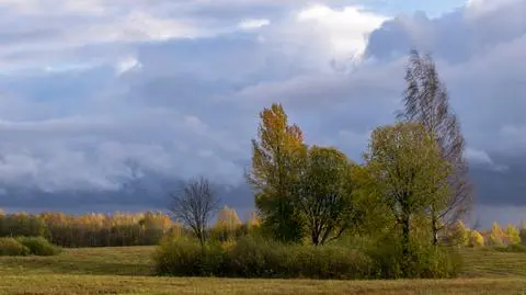 Środowa aura poprawi nam samopoczucie. Biomet korzystny w całej Polsce
