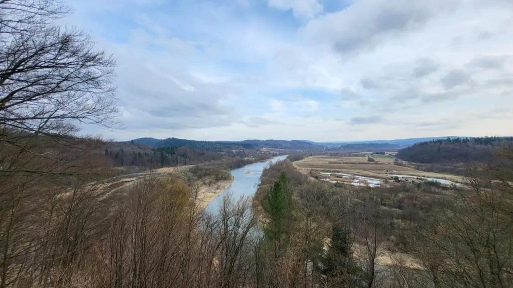 Widok z platformy widokowej 