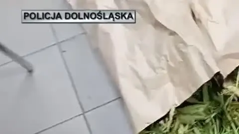 dolnoslaska