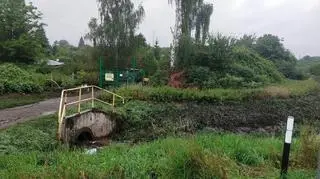 Górki Ustowskie. Zalane działki 