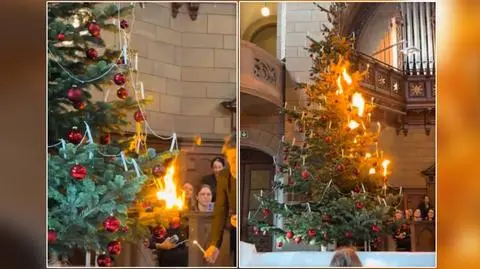 "Choinka się nie zapali? Jak to?" Tym razem to nie cuda