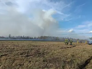 The fire covered about 10 hectares of land 
