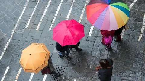 Zima bez zimy. Co widać w prognozie na najbliższe dni