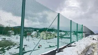 Na S19 powstają siatki ochronne dla nietoperzy