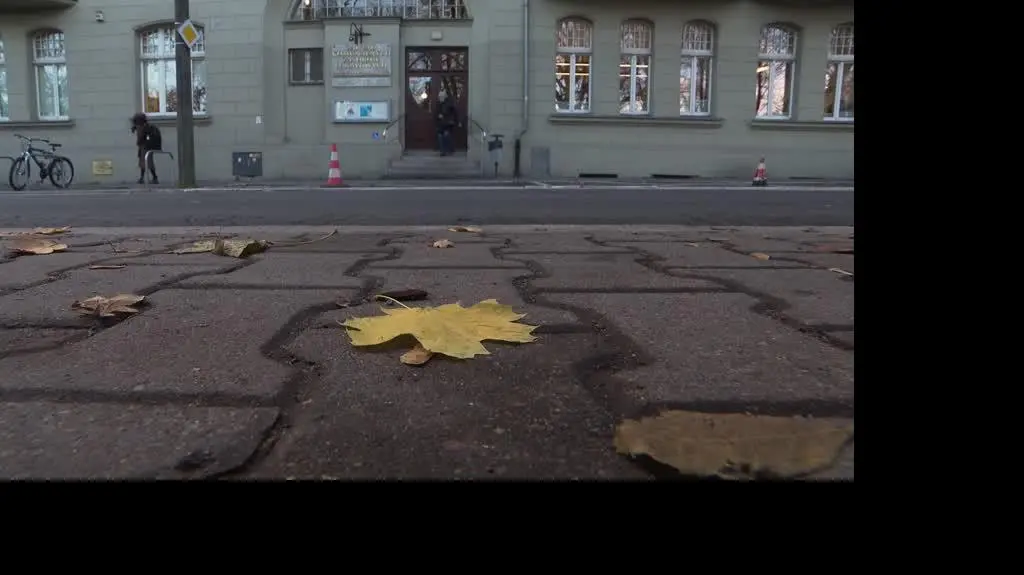 piwnice okejk portal