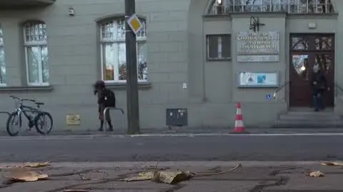 piwnice okejk portal