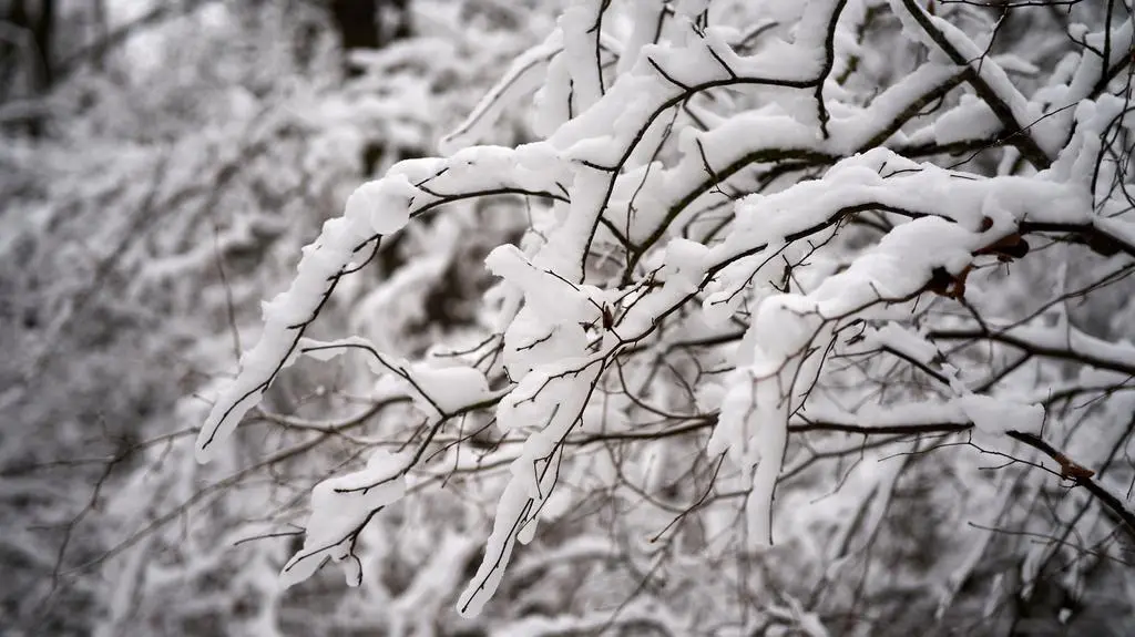 Atak zimy. Może spaść 20 centymetrów śniegu
