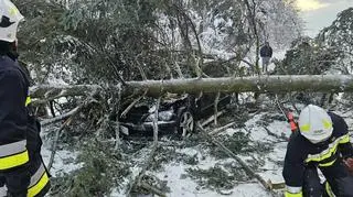 Auto zostało przygniecione