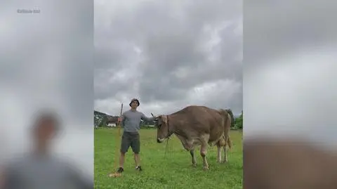 Klatka kluczowa-172097