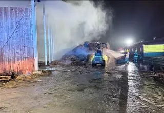 Spalona hala, siano dla stu koni i miliony strat. 14-latkowie przed sąd