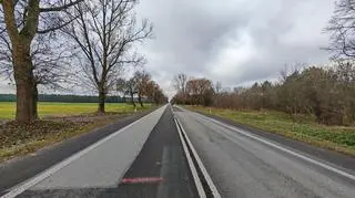 Droga Krajowa 14. Widok w kierunku Głowna