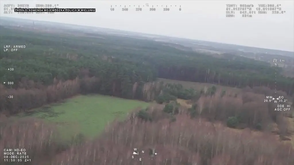 Klatka kluczowa-84512