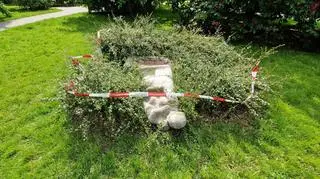 Ktoś przewrócił rzeźbę "Kobieta z dzieckiem"