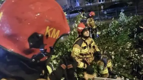 Na jadący samochód spadło drzewo. W środku cztery osoby