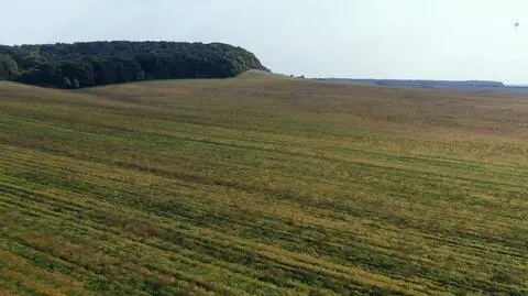 "Ogromny majątek. Zawsze jest ryzyko korupcyjne". Straty mogą sięgać nawet ponad miliard złotych