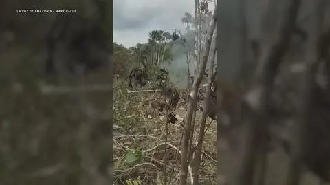 Klatka kluczowa-315465