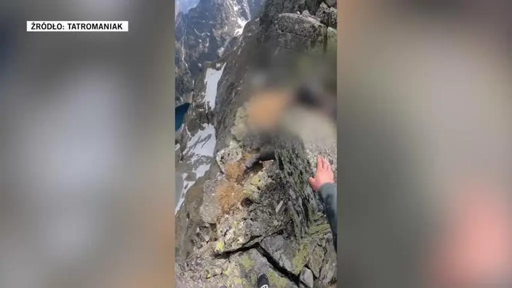 tatromaniak_wyciszone