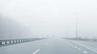 Mgła, mgły, droga, samochody