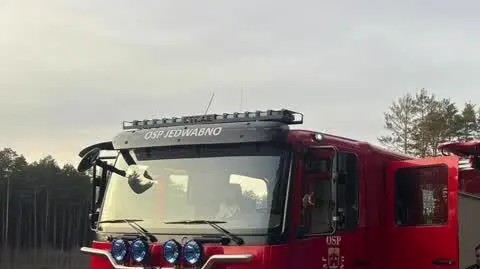 Strażacy uwolnili łosia z bagna