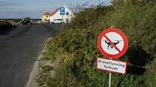 Przygotowania do szczytu UE w Kopenhadze 