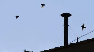 Konklawe trwa. Wszystkie oczy zwrócone na komin