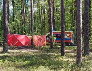 Tragedia podczas przejażdżki konnej, nie żyje 14-latka