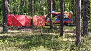 Tragedia podczas przejażdżki konnej. Nie żyje 14-latka