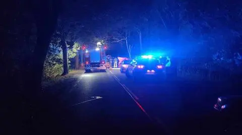 W miejscu tragedii ktoś ponacinał drzewa