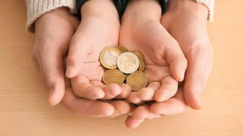 pieniadze monety euro eur shutterstock_1307595145