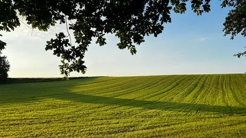 Pogodny i gorący dzień, ale wieczór będzie groźny