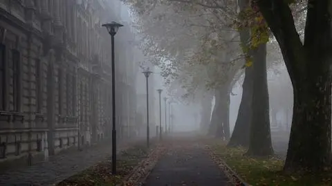 W nocy i nad ranem pojawią się mgły 