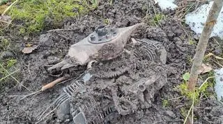 Drony wleciały do państw bałtyckich. "To nowa rzeczywistość"