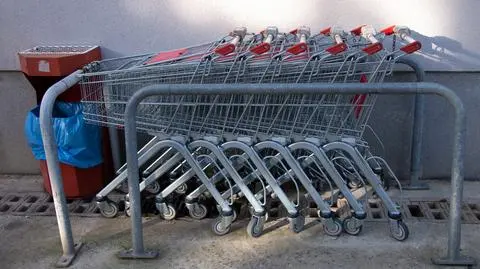 shutterstock_2436778147