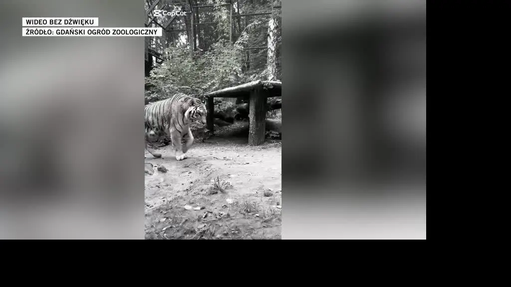 Gdański Ogród Zoologiczny