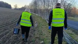 Trwa nabór wolontariuszy