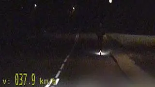 13-latek pędził hulajnogą 37 km/h 