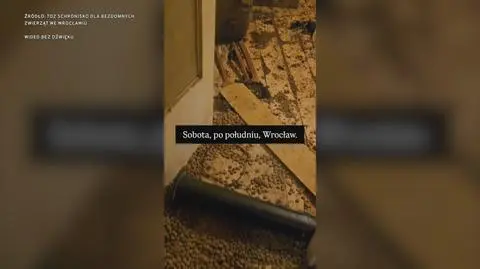 Klatka kluczowa-139187